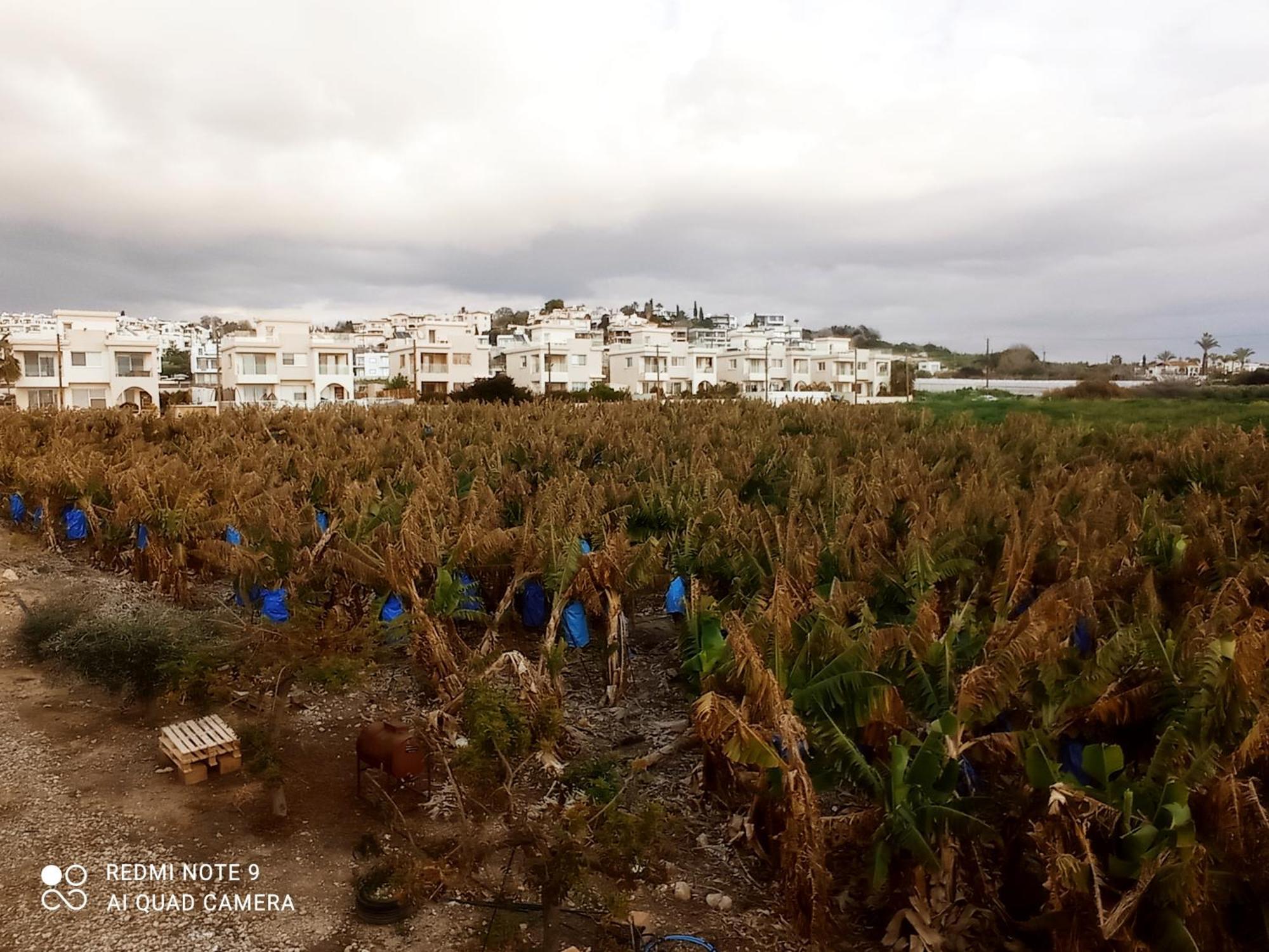 Blue Seaview Appartments Paphos Eksteriør bilde